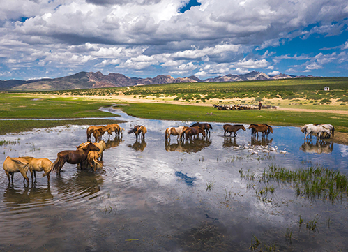 Escape to the Heartland of Mongolia